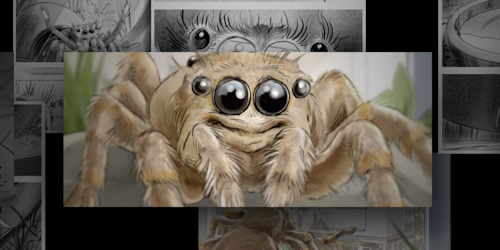 Sam the Spider 01